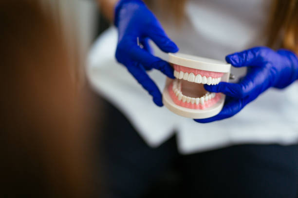 Why Choose Us for Your Dental Needs in Belleair, FL